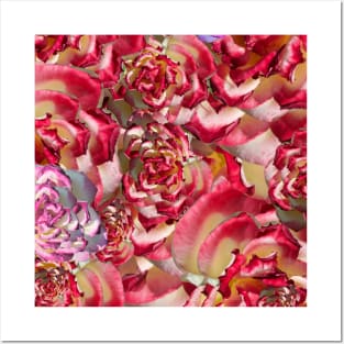 Kaleidoscope of Roses Posters and Art